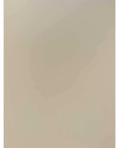 Y-Series Desert Sand Matte