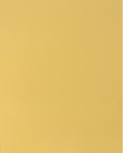 YZ-Series Sicily Lemon Matte